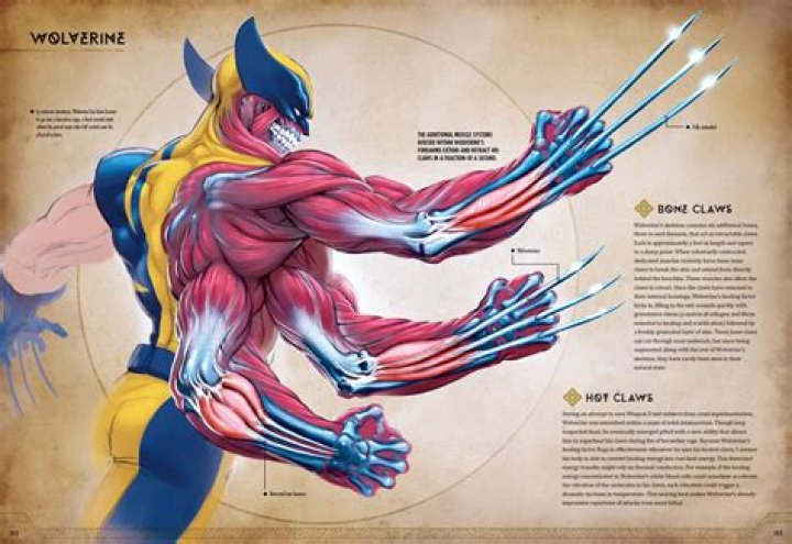 Can Wolverine get stronger?