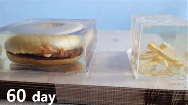 Can you cast food in resin?