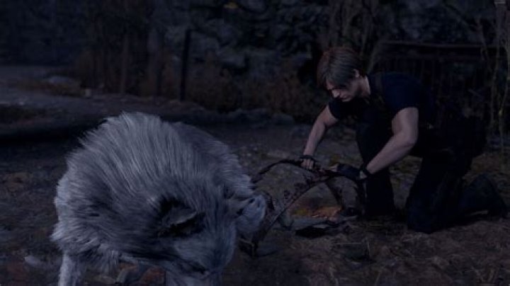 Does the dog die in Resident Evil 4?