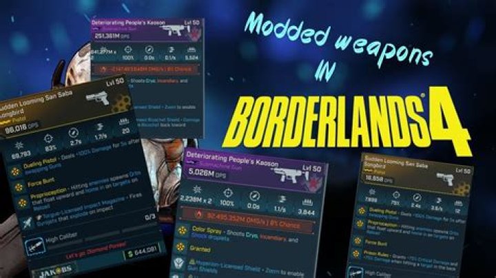 How do I install modded weapons in Borderlands 2?