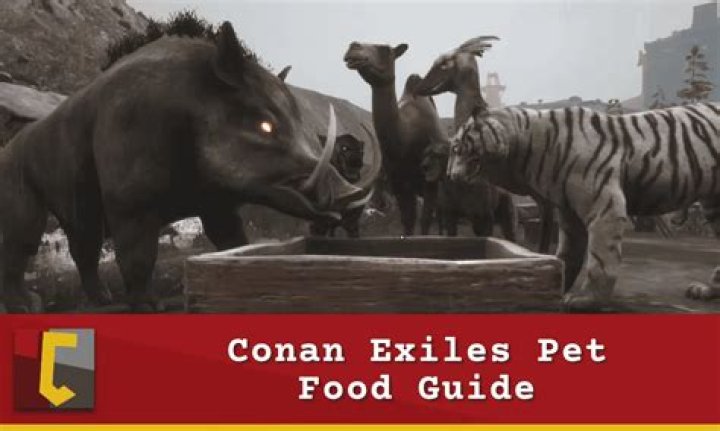 How do you get food in Conan exiles?