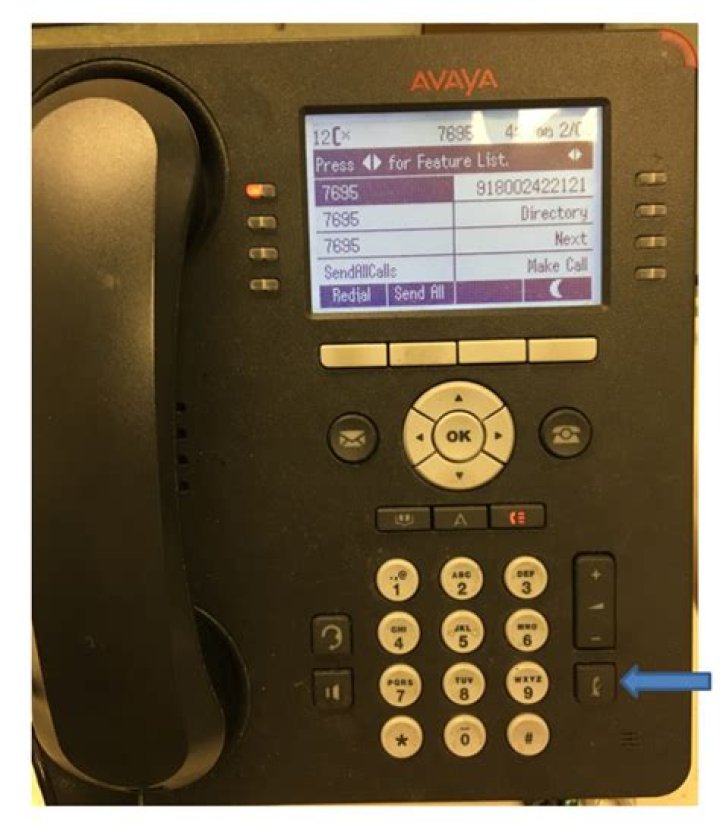 How do you mute an Avaya phone?