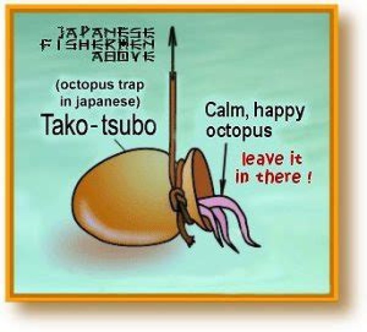 How does a Japanese octopus trap work?