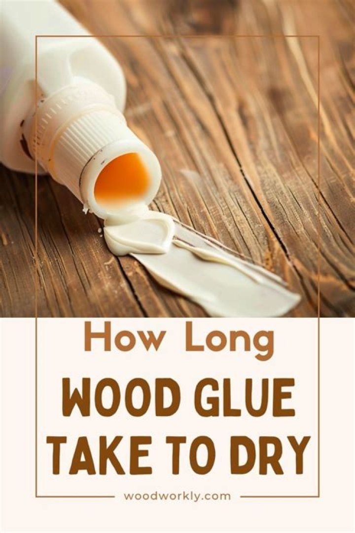How long does Revell glue take to dry?