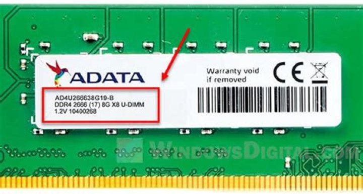 How much RAM does the S10 have?