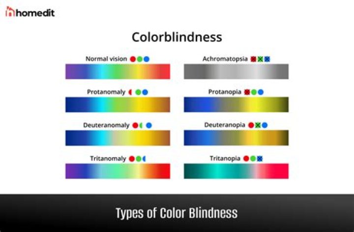 How rare is black and white colorblindness?