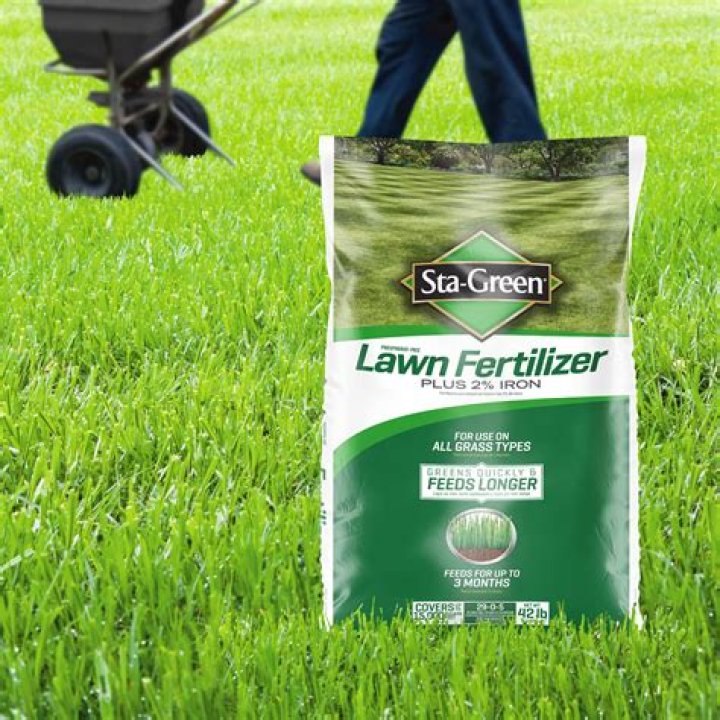 Is goose poop good fertilizer for grass?