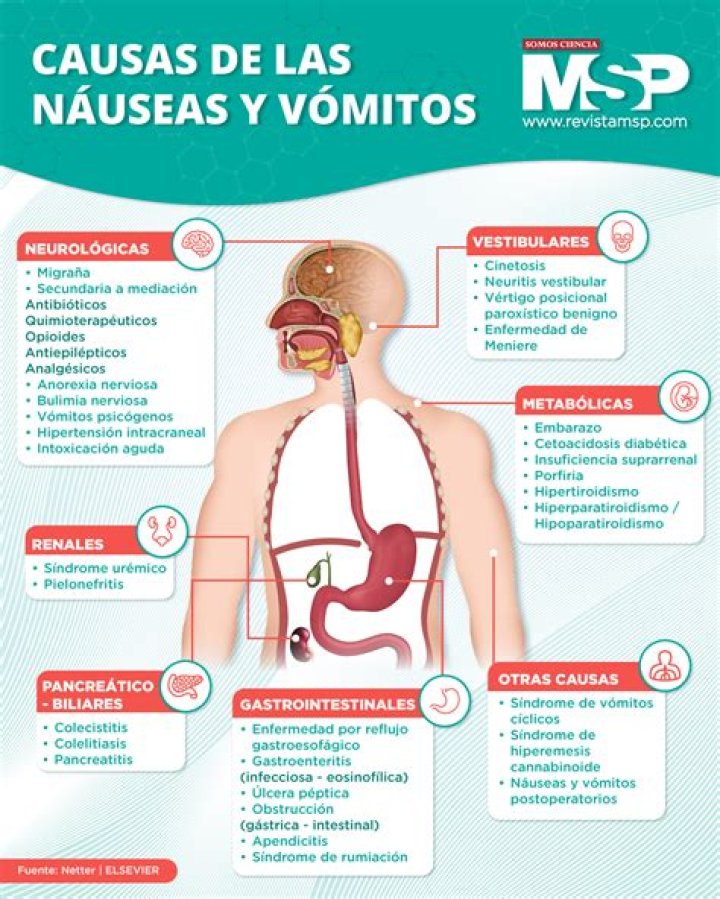 ¿Qué pasa si uno vomita bilis?