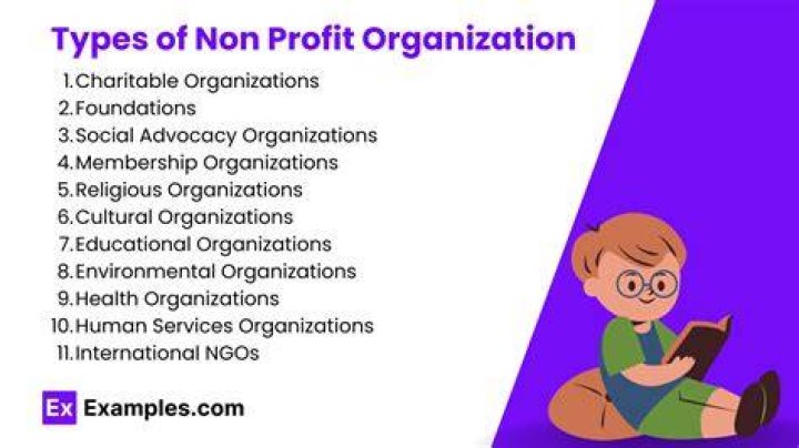 What are the biggest nonprofit organizations?