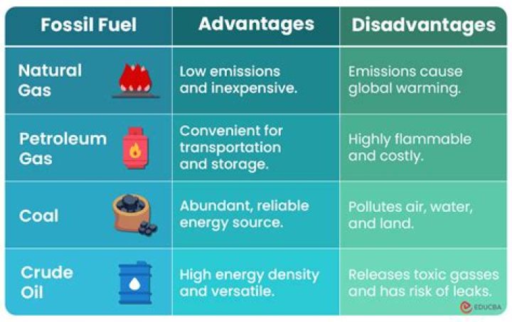 What are the disadvantages of natural Fibre?