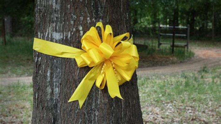 What does it mean to tie a yellow ribbon around a tree?