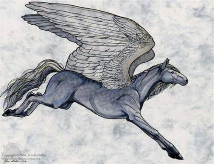 What does the Granian winged horse Patronus mean?