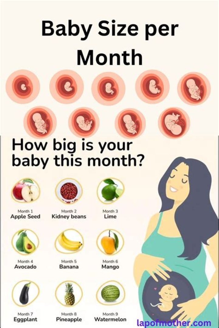 What size is 3 months in Carter's?
