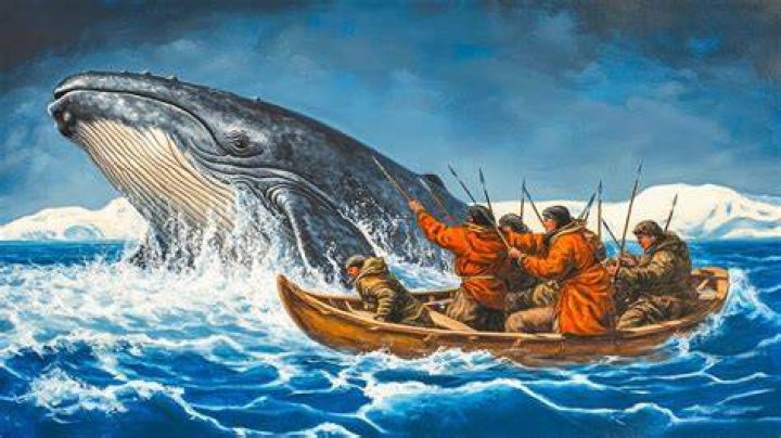 What whales did the Inuit hunt?