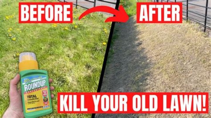 Will Roundup kill your plants?
